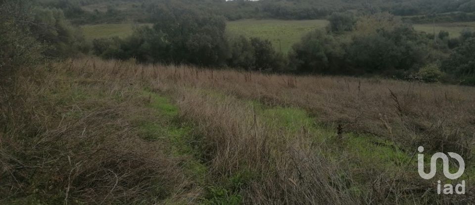 Terreno Agrícola em Igreja Nova e Cheleiros de 3 125 m²