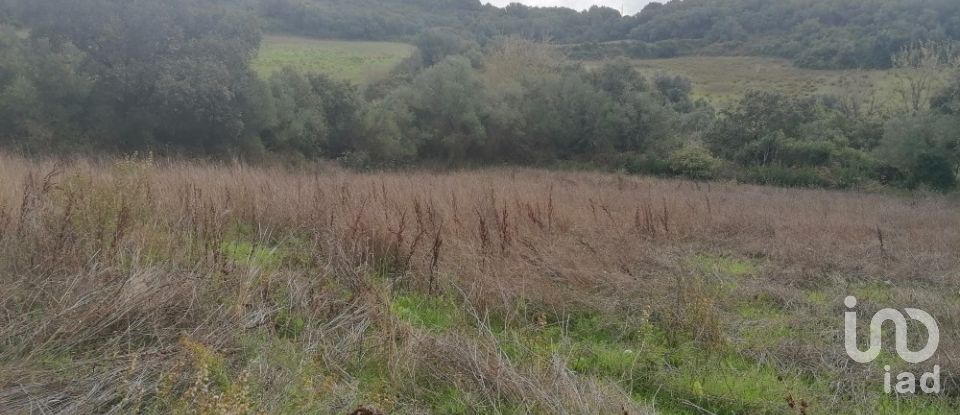 Terreno Agrícola em Igreja Nova e Cheleiros de 3 125 m²