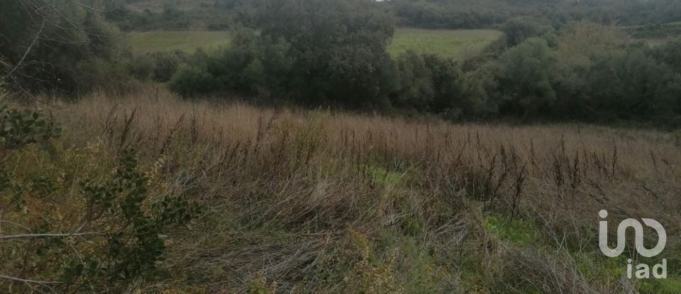 Agricultural land in Igreja Nova e Cheleiros of 3,125 m²