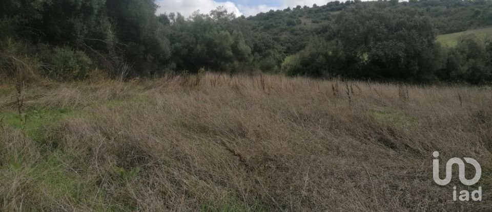 Terrain agricole à Igreja Nova e Cheleiros de 3 125 m²