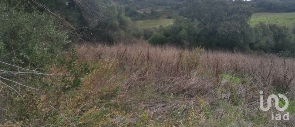 Terreno Agrícola em Igreja Nova e Cheleiros de 3 125 m²