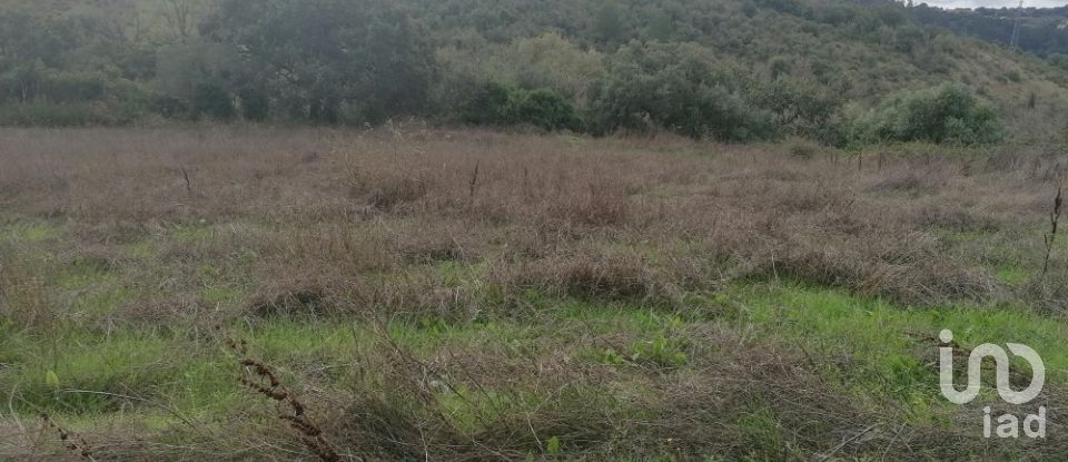 Terreno Agrícola em Igreja Nova e Cheleiros de 3 125 m²