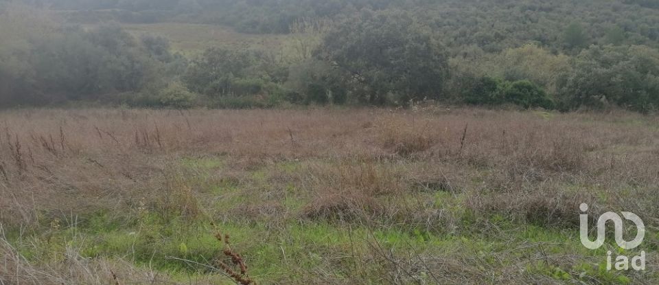 Agricultural land in Igreja Nova e Cheleiros of 3,125 m²