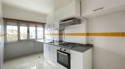 Apartamento T2 em Tomar (São João Baptista) e Santa Maria dos Olivais de 63 m²