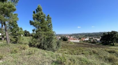 Building land in Asseiceira of 4,640 m²