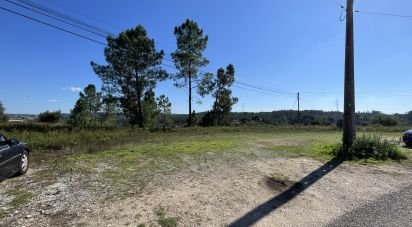 Building land in Asseiceira of 4,640 m²