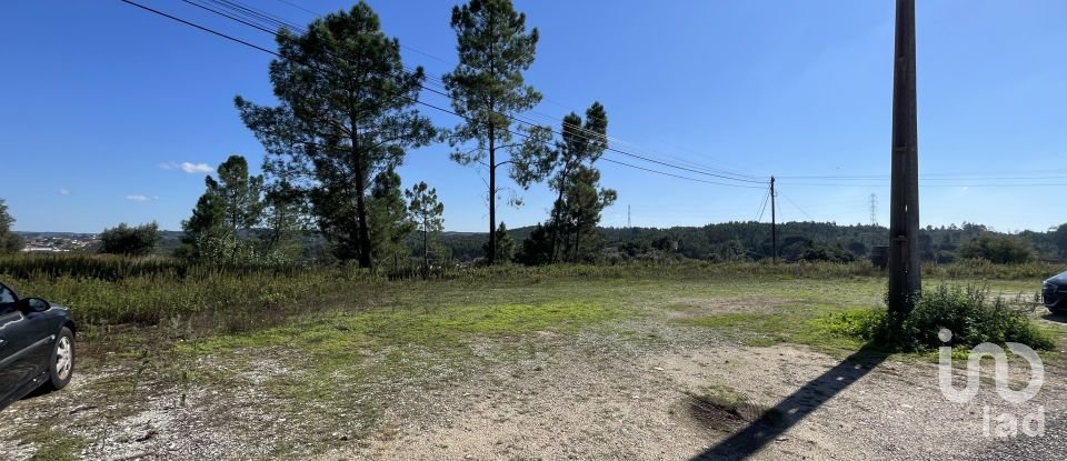 Building land in Asseiceira of 4,640 m²