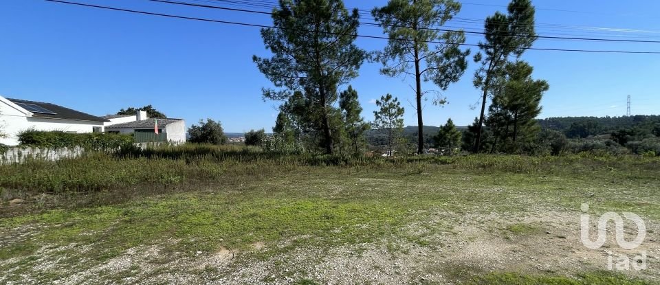 Building land in Asseiceira of 4,640 m²