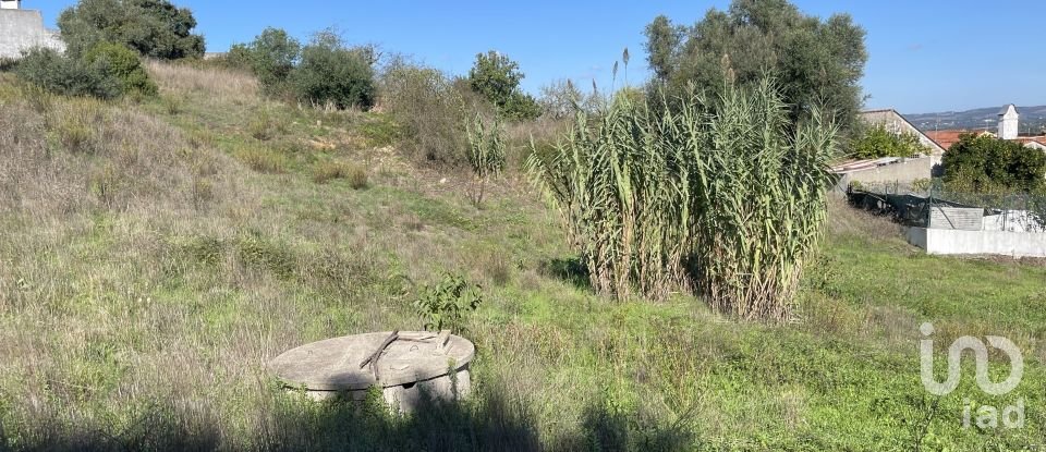 Building land in Asseiceira of 4,640 m²