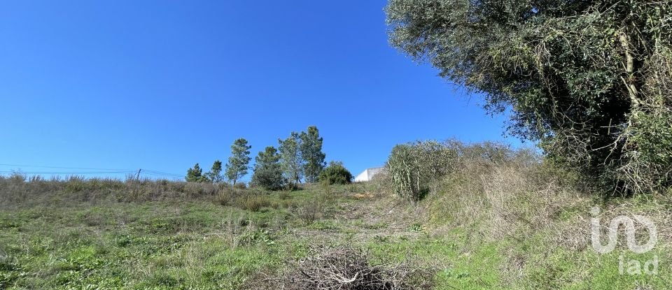 Building land in Asseiceira of 4,640 m²