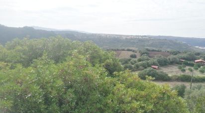 Agricultural land in Igreja Nova e Cheleiros of 14,250 m²