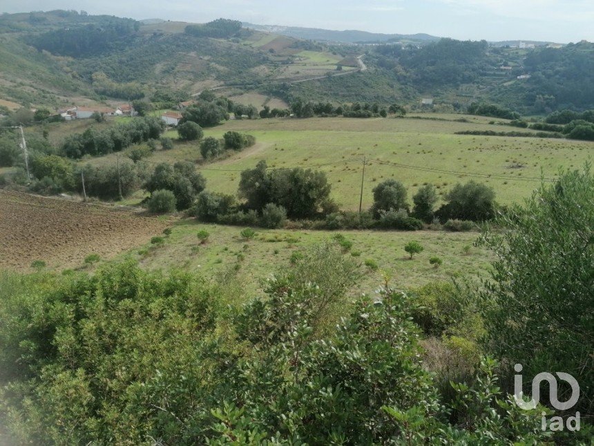 Agricultural land in Igreja Nova e Cheleiros of 14,250 m²