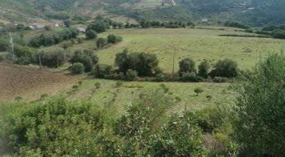 Agricultural land in Igreja Nova e Cheleiros of 14,250 m²