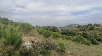 Agricultural land in Igreja Nova e Cheleiros of 14,250 m²