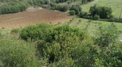 Agricultural land in Igreja Nova e Cheleiros of 14,250 m²