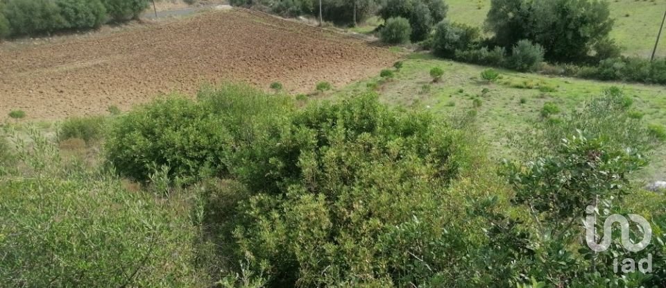 Agricultural land in Igreja Nova e Cheleiros of 14,250 m²