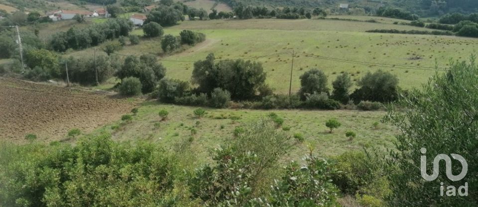 Agricultural land in Igreja Nova e Cheleiros of 14,250 m²