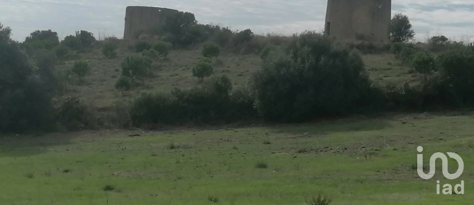 Agricultural land in Igreja Nova e Cheleiros of 14,250 m²