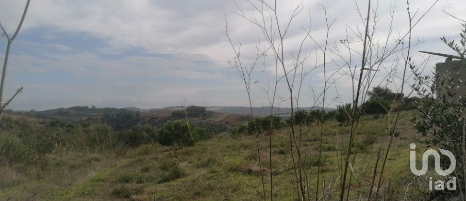 Agricultural land in Igreja Nova e Cheleiros of 14,250 m²