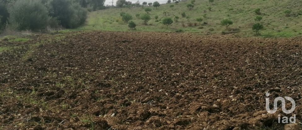 Agricultural land in Igreja Nova e Cheleiros of 14,250 m²