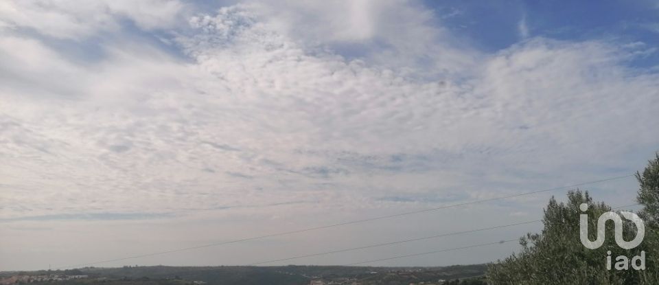 Agricultural land in Igreja Nova e Cheleiros of 14,250 m²