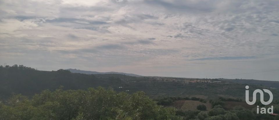 Agricultural land in Igreja Nova e Cheleiros of 14,250 m²