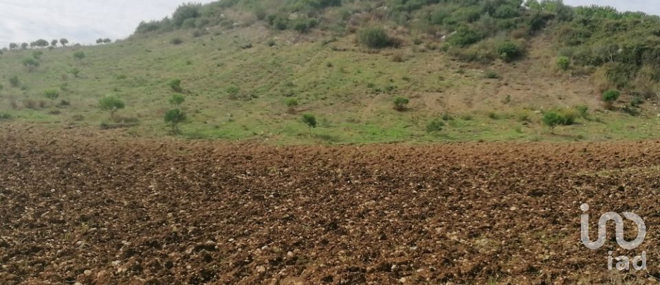 Agricultural land in Igreja Nova e Cheleiros of 14,250 m²