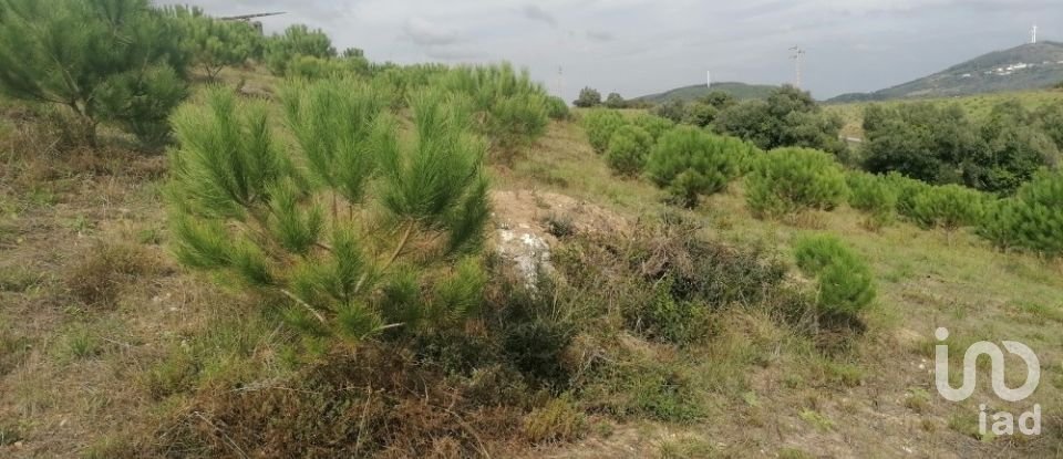 Agricultural land in Igreja Nova e Cheleiros of 14,250 m²