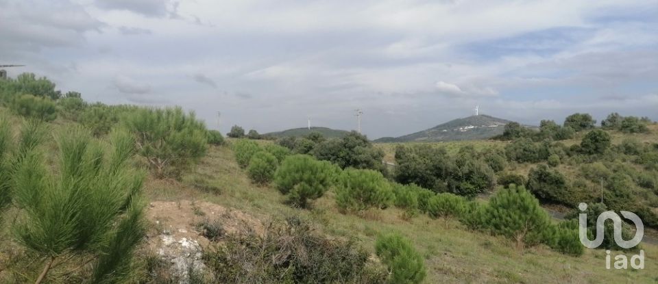 Agricultural land in Igreja Nova e Cheleiros of 14,250 m²