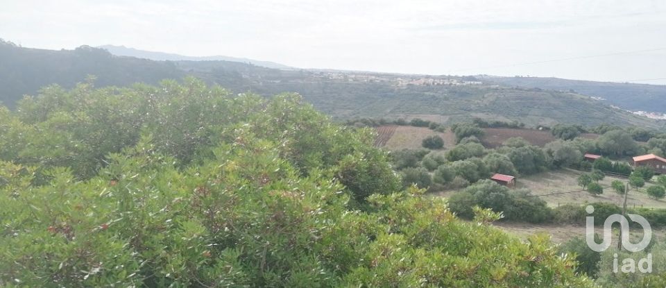 Agricultural land in Igreja Nova e Cheleiros of 14,250 m²