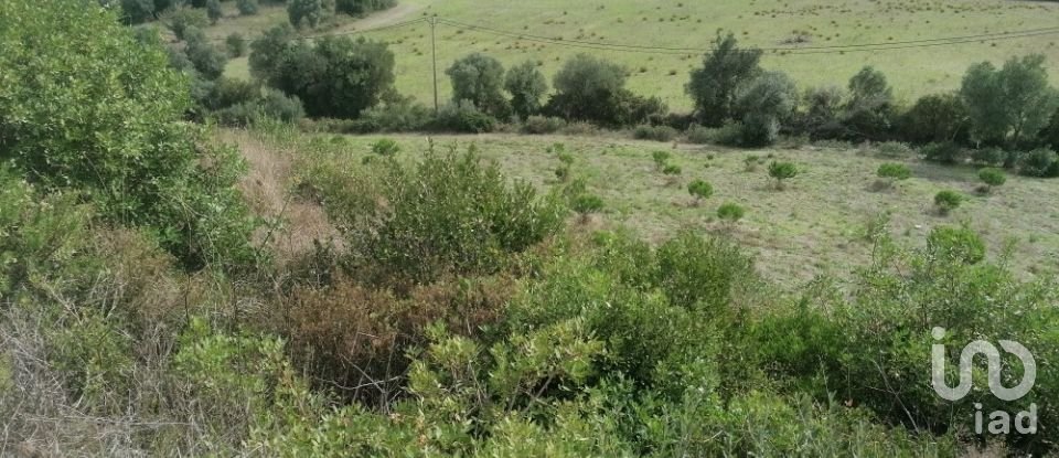 Agricultural land in Igreja Nova e Cheleiros of 14,250 m²