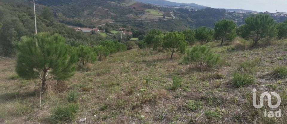 Agricultural land in Igreja Nova e Cheleiros of 14,250 m²