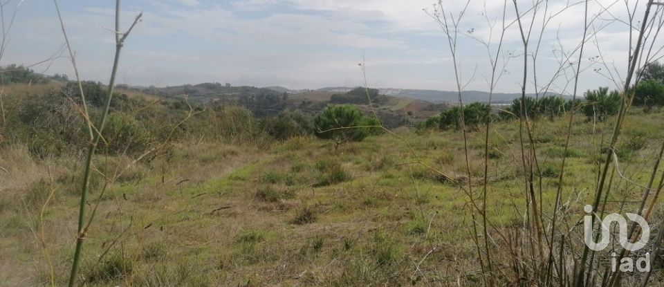 Agricultural land in Igreja Nova e Cheleiros of 14,250 m²