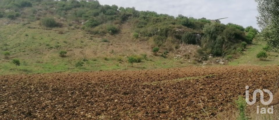 Agricultural land in Igreja Nova e Cheleiros of 14,250 m²