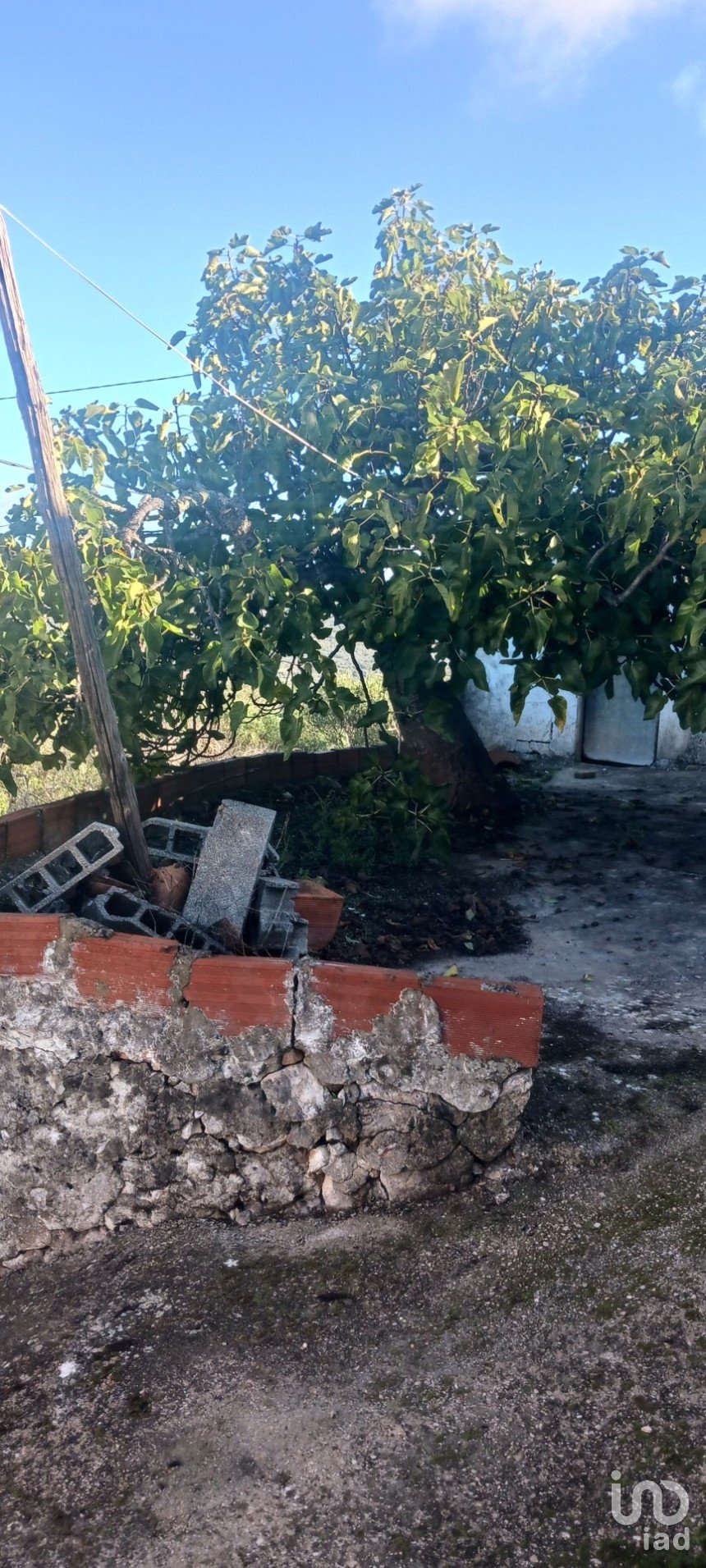 Block of flats in Querença, Tôr e Benafim of 24 m²