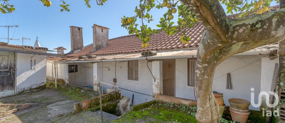 Traditional house T2 in Além da Ribeira e Pedreira of 120 m²