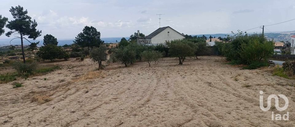 Gîte T3 à Moreira de Rei de 90 m²