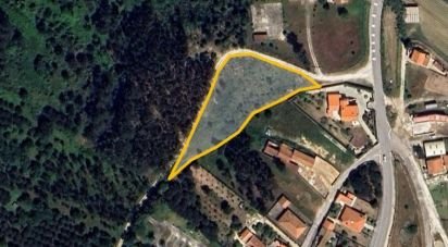 Building land in Famalicão of 3,640 m²