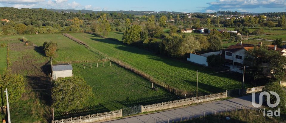 Land in Tomar (São João Baptista) e Santa Maria dos Olivais of 21,380 m²