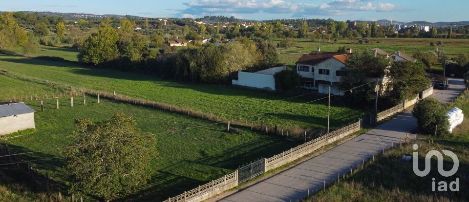 Land in Tomar (São João Baptista) e Santa Maria dos Olivais of 21,380 m²