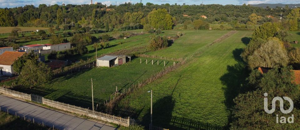 Land in Tomar (São João Baptista) e Santa Maria dos Olivais of 21,380 m²