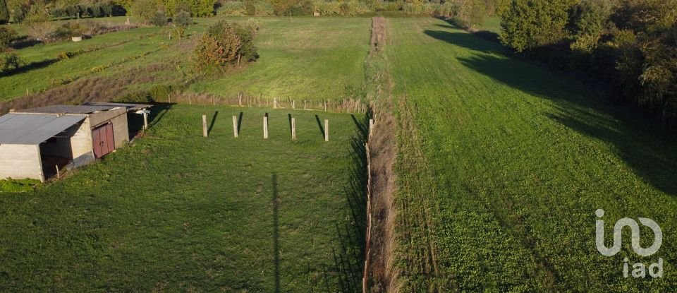 Land in Tomar (São João Baptista) e Santa Maria dos Olivais of 21,380 m²