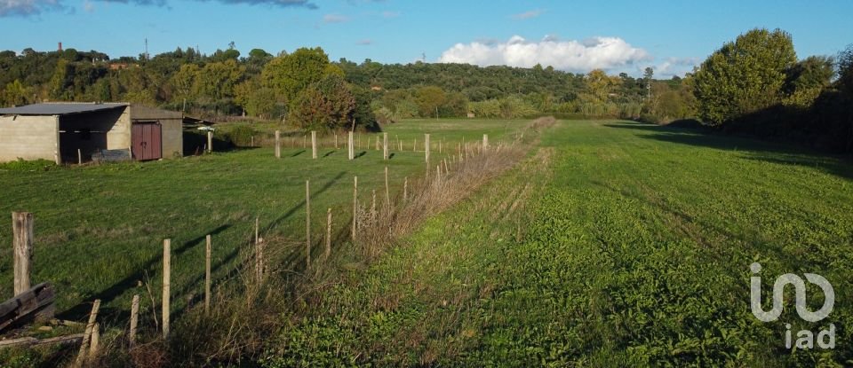 Land in Tomar (São João Baptista) e Santa Maria dos Olivais of 21,380 m²