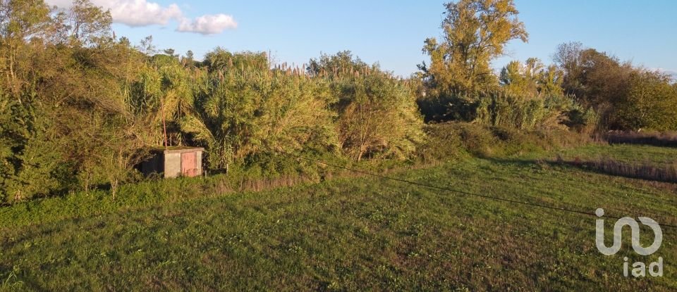 Land in Tomar (São João Baptista) e Santa Maria dos Olivais of 21,380 m²