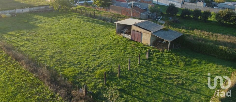 Land in Tomar (São João Baptista) e Santa Maria dos Olivais of 21,380 m²