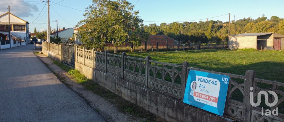 Land in Tomar (São João Baptista) e Santa Maria dos Olivais of 21,380 m²