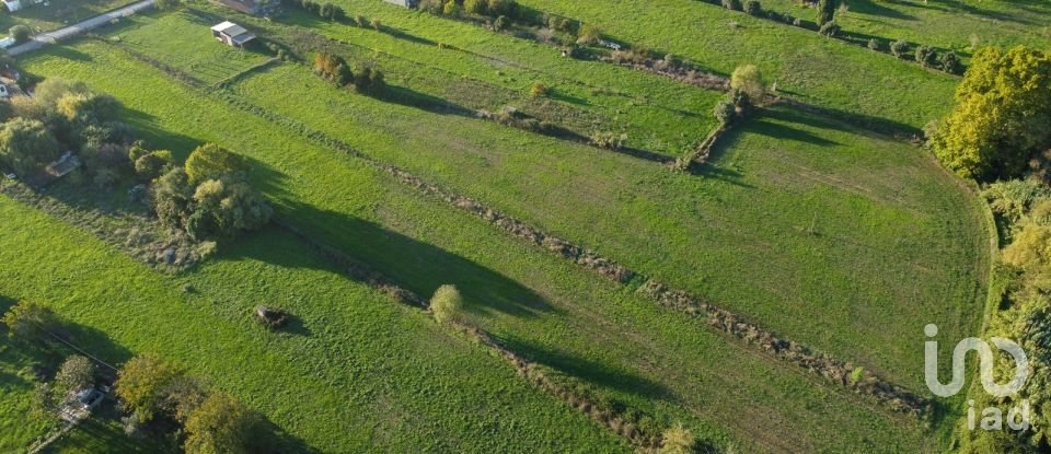 Land in Tomar (São João Baptista) e Santa Maria dos Olivais of 21,380 m²