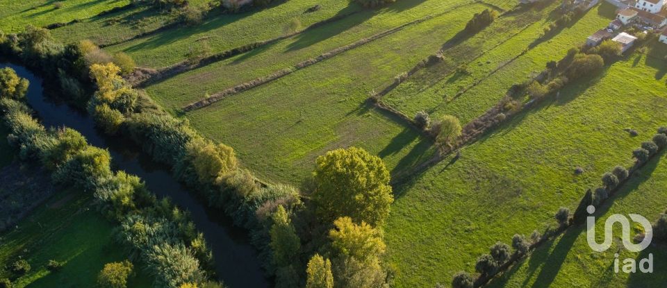 Land in Tomar (São João Baptista) e Santa Maria dos Olivais of 21,380 m²