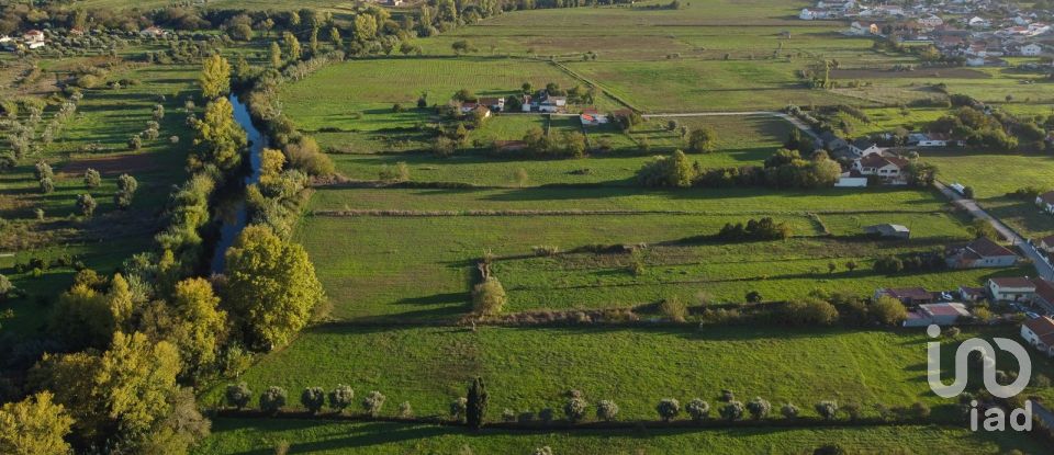 Land in Tomar (São João Baptista) e Santa Maria dos Olivais of 21,380 m²