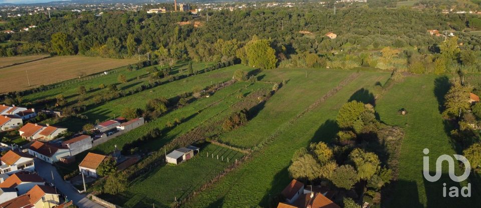 Land in Tomar (São João Baptista) e Santa Maria dos Olivais of 21,380 m²